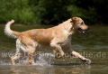 29 Wasseraction